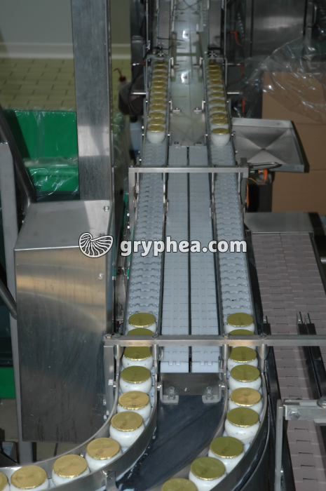 Fabrication des yaourts - Transfert des pots de yaourt vers le poste d'emballage - gryphea.org